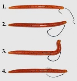  Yum Dinger Senko 5 Inch Worms With Attractant, 8